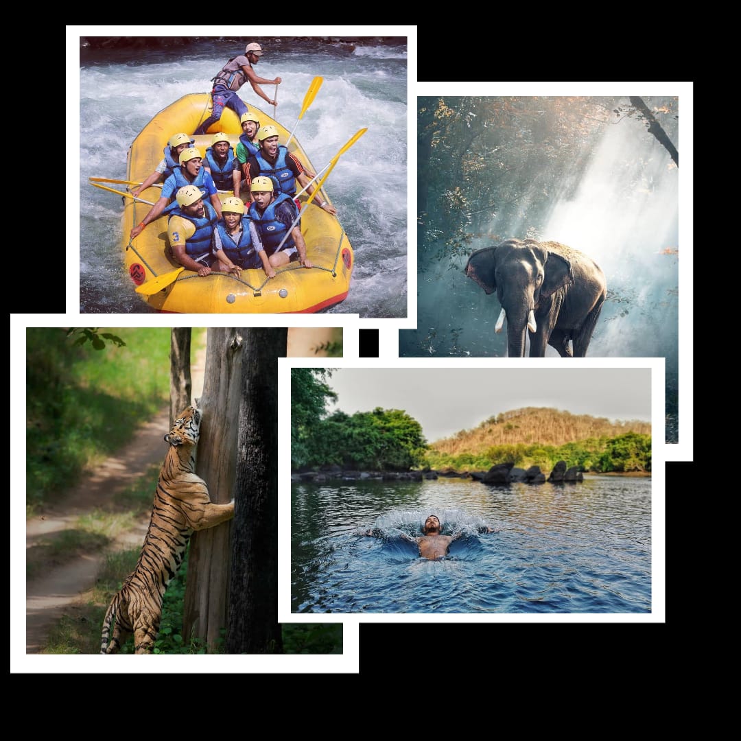 WhatsApp Image 2024-11-18 at 14.01.29_c5f51012