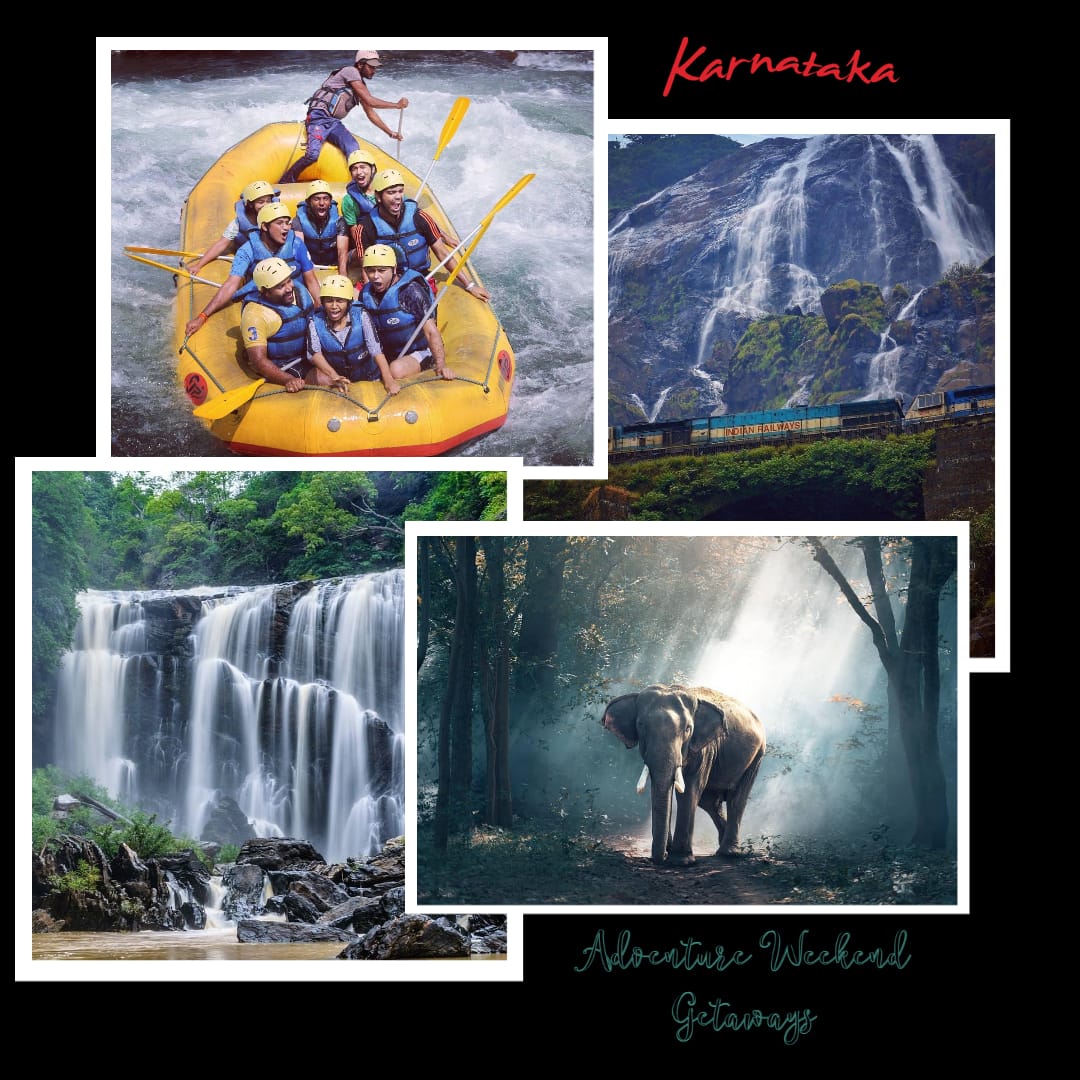 WhatsApp Image 2024-11-18 at 14.01.29_ebed5f14