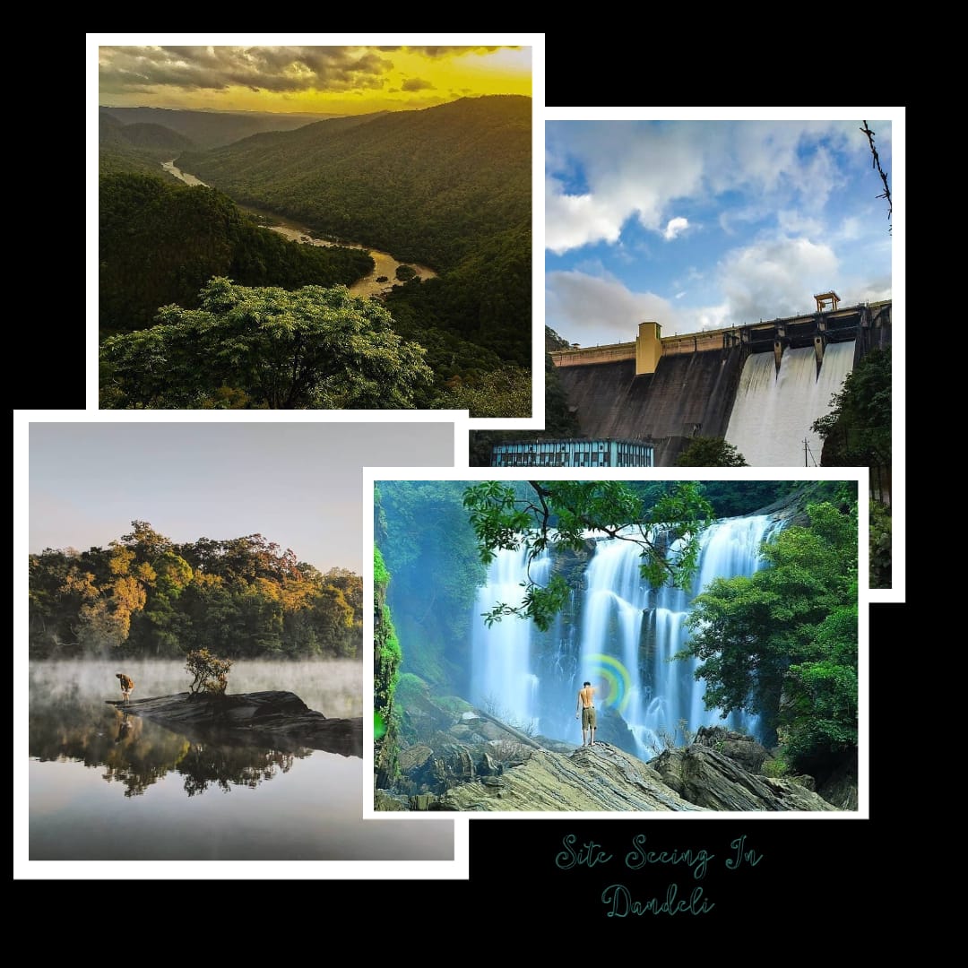 WhatsApp Image 2024-11-18 at 14.01.29_f9885f65